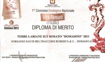 Diploma di merito - Domasino Rosato
